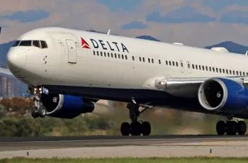 7 Striking Signs of a Market Rebound Amid Chaos